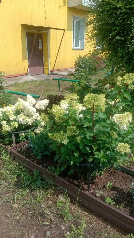 Фото из открытых источников Фото из открытых источников