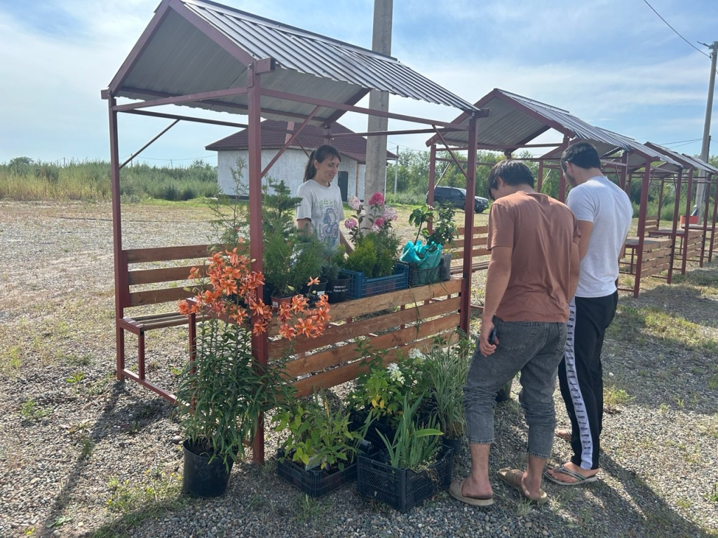 Фото автора, сельхозуправления и из личного архива фермеров