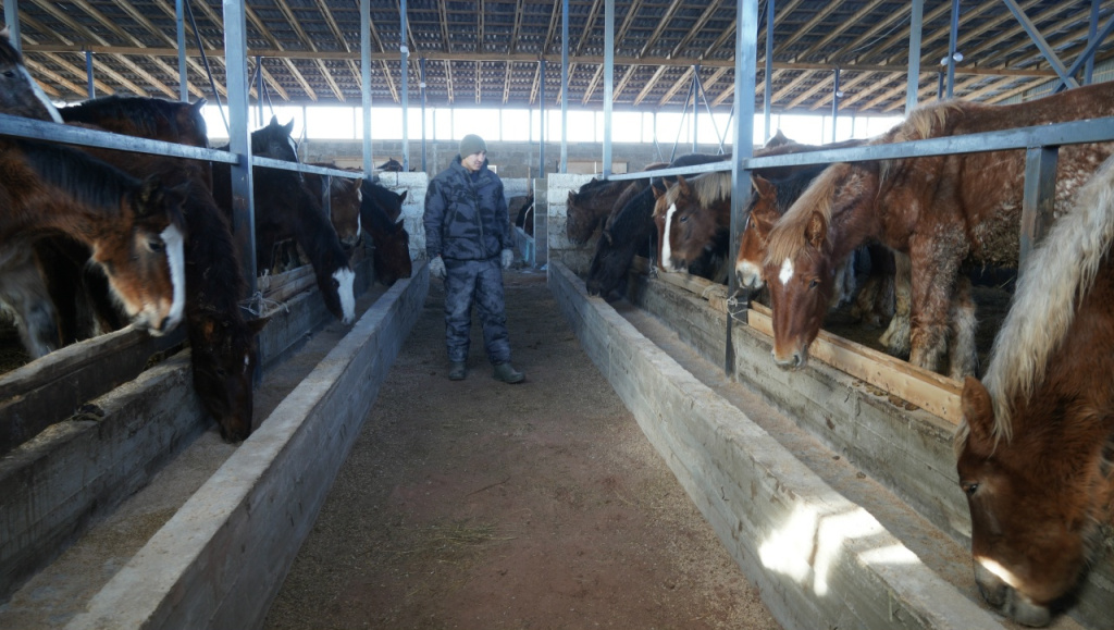 Фото автора, из личного архива фермера, сельхозуправления 