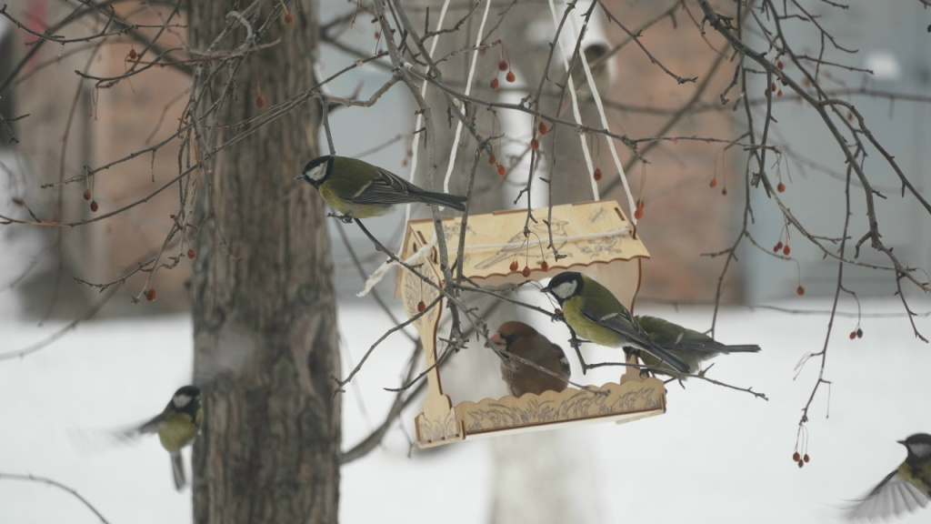 Фото Николая Малунова, автора