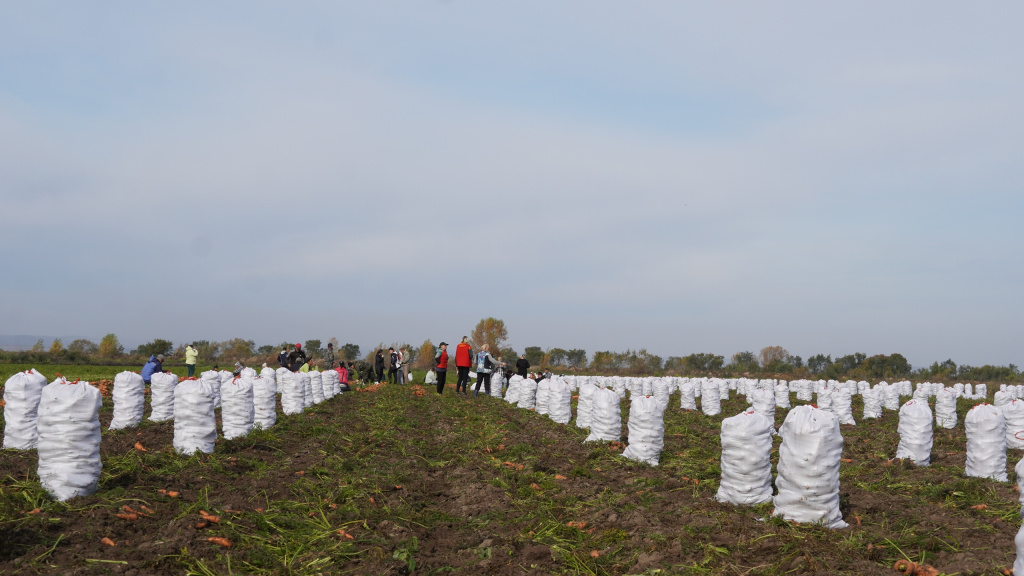 Фото #ЛилияЦыганкова