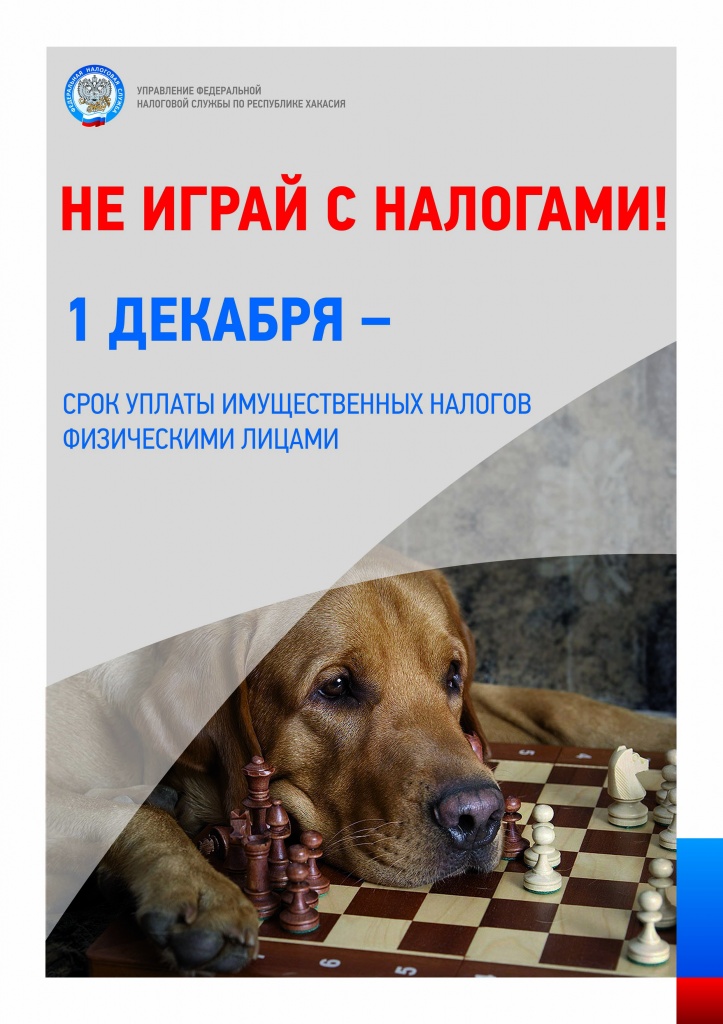 Не играй с налогами.JPG