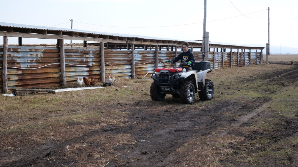 Фото #ЛилияЦыганкова