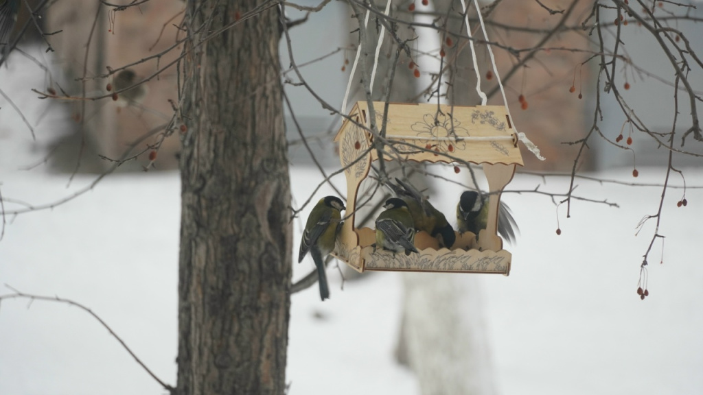 Фото Николая Малунова, автора