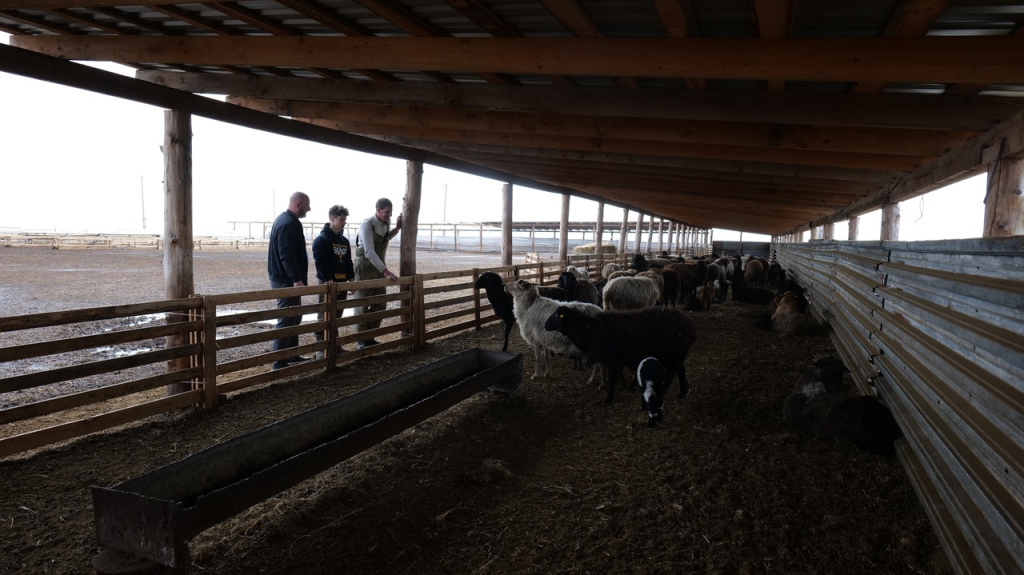 Фото #ЛилияЦыганкова