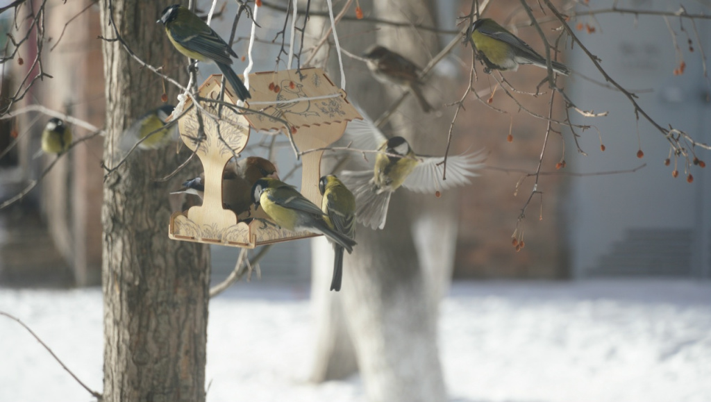 Фото Николая Малунова, автора