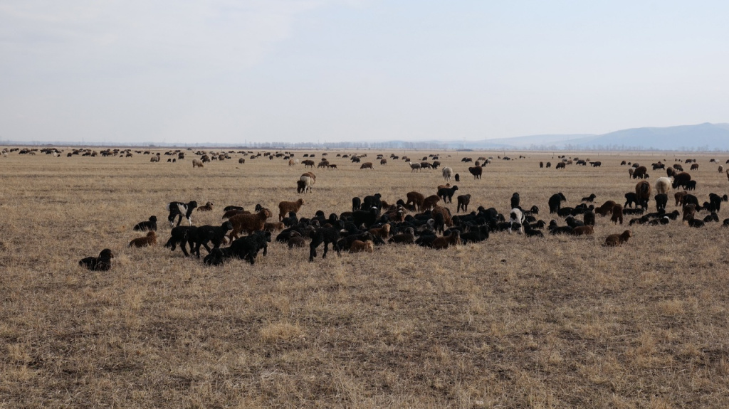 Фото #ЛилияЦыганкова