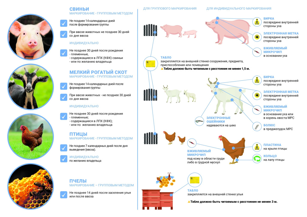 Фото Управления ветеринарии района.jpg