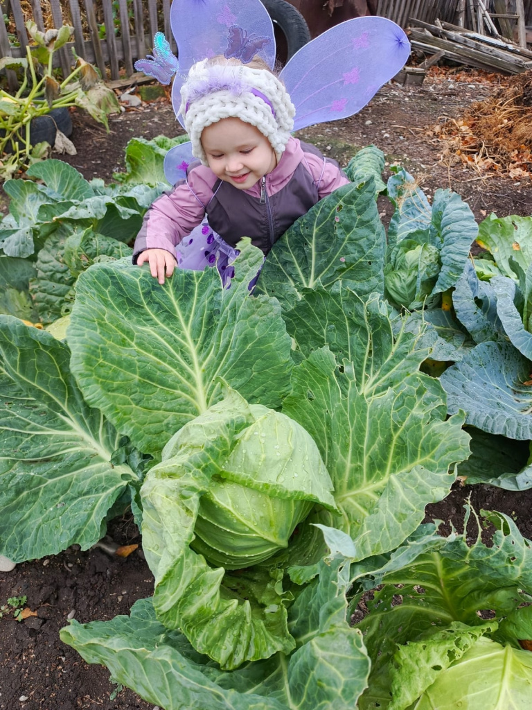 Фотографии участников конкурса