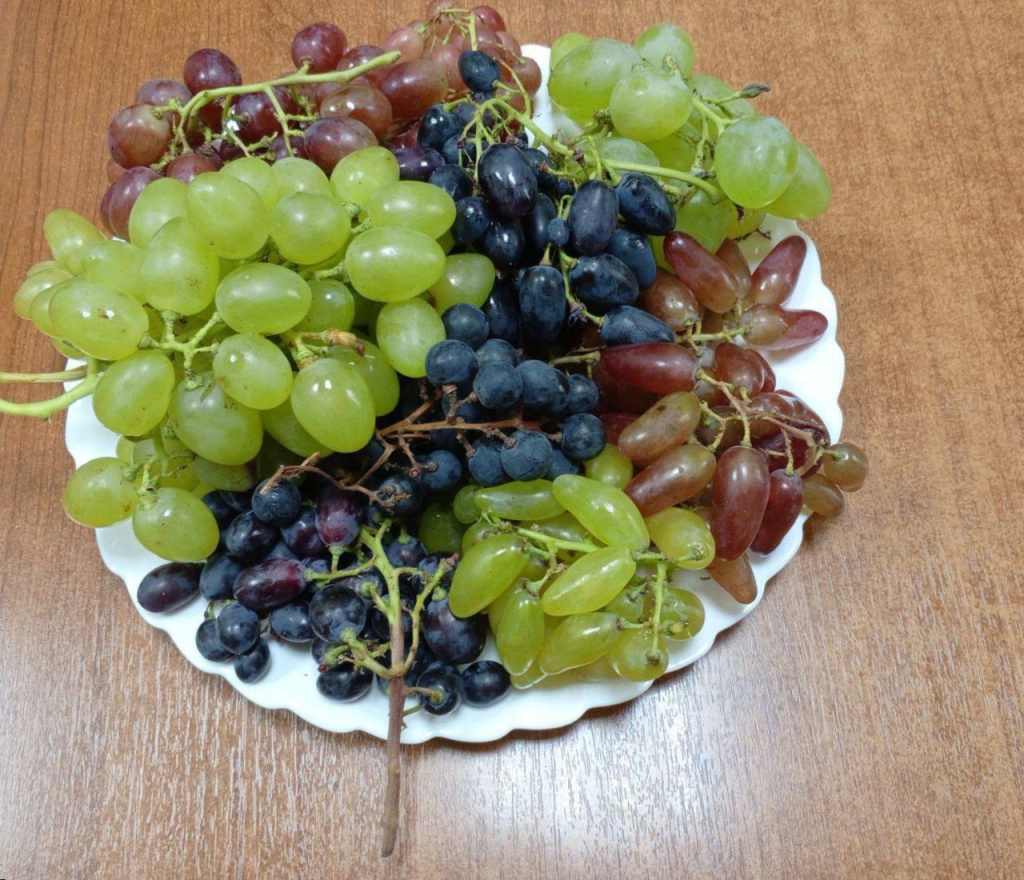 Фото #МарияБанькова