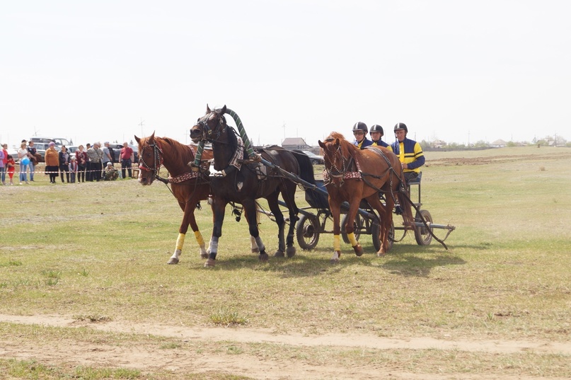 фото Райковского сельсовета фото Райковского сельсовета