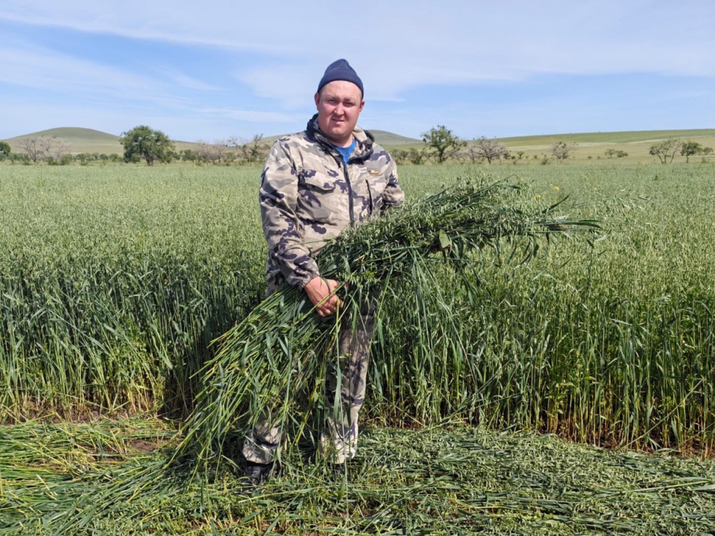 Фото автора, сельхозуправления и из личного архива фермеров